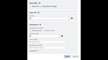 Using contigs when submitting a Metagenomic Binning job