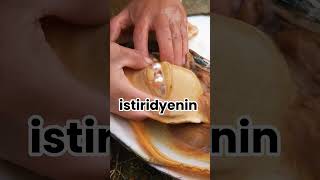 İstiridye Neden Ve Nasıl İnci Üretir?