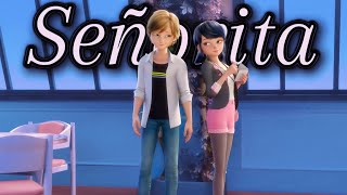 Señorita Miraculous Ladybug Amv