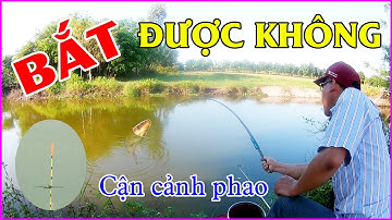 Câu Cá Sông Quê | Điểm Câu Quen Thuộc Nhiều Bất Ngờ