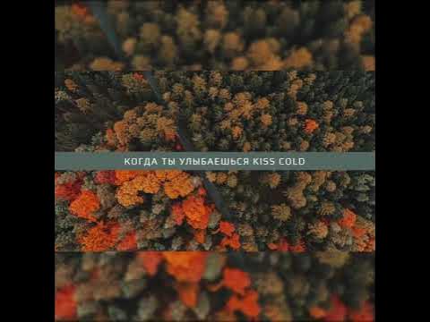 Текст песни ноги подгибаются. Kiss Cold когда ты улыбаешься. Когда ты улыбаешься Dневник Dжессики. Когда ты улыбаешься киссколд. Когда ты улыбаешься дневник Джессики.