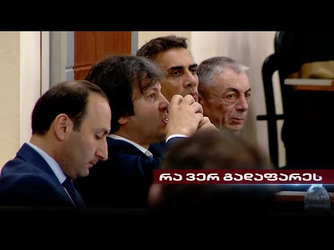 რა ვერ გადაფარა ხელისუფლებამ | თენგო გოგოტიშვილის სიუჟეტი