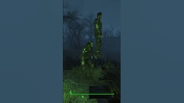 Fallout 4 glitch #fallout4 #funny #meme