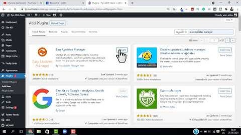 Disable Wordpress Auto Update