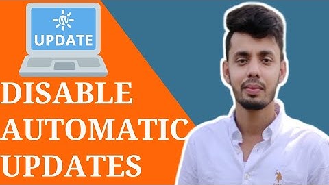 Disable Wordpress Auto Update