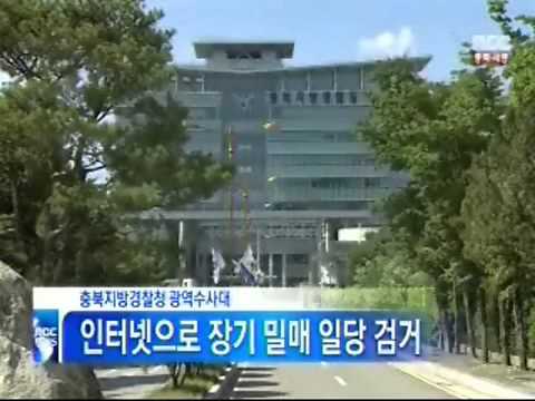[청주MBC뉴스]장기밀매단 검거