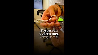 Forbici da toelettatura: consigli tecnici