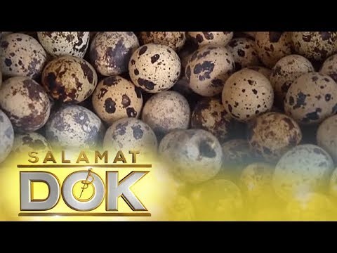 Video: Paano Magbigay Ng Mga Itlog Ng Pugo Sa Mga Bata