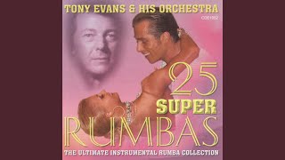 Video thumbnail of "Tony Evans Dancebeat Studio Band - Killing Me Softly (Rumba)"