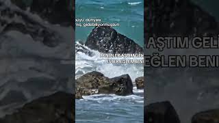 Deni̇zler Aştim Geli̇yorum