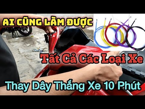 Video: Thay dây phanh có đắt không?