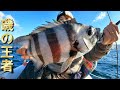ページ96【天秤フカセ】どの時期でも釣れて何でも釣れる最強の釣り