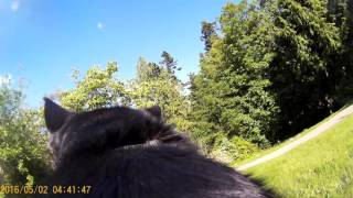 Echo Cam 1