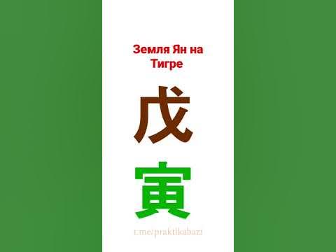Столп дня Земля Ян на Тигре | У Инь | 60 типов личности в бацзы - YouTube