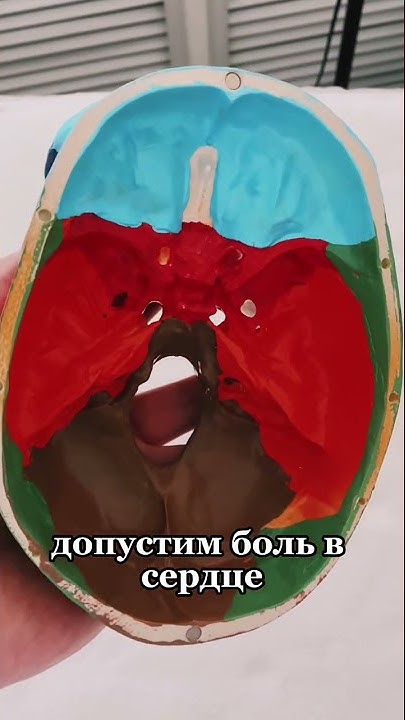 Почему появляется отпечаток зубов на языке по утрам ?#massage # ...