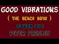 &quot;GOOD VIBRATIONS&quot;   Cover By:  Peter Presley