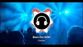 Gaspar - Born For EDM