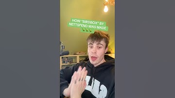 HOW “BIRDBOX” BY NETTSPEND WAS MADE (IN 30 SECONDS)🦜🦜🦜