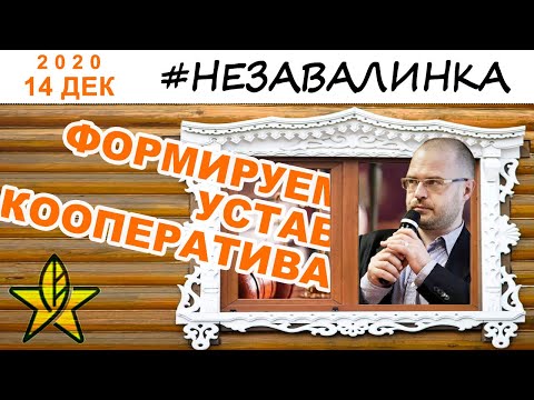 Обсуждение Устава Кооператива. Часть 1 (Незвалинка с Дмитрием Панюковым)