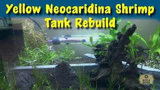 Yellow Neocaridina Shrimp Tank Build by Bits And Bobs 200 views 1 year ago 5 minutes, 8 seconds