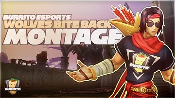 WOLVES BITE BACK | Paladins Montage