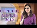 СТРЕЛЕЦ. Гороскоп на АПРЕЛЬ 2019 | Алла ВИШНЕВЕЦКАЯ