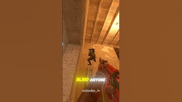 Ladder Support Flash 💥