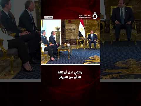 المبعوث الأمريكي ستيف ويتكوف ل الرئيس المصري لولاك ولولا مهارات فريقك لما أنجزنا أي شيء