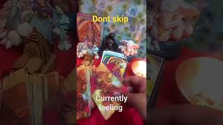 current feelings your partner  shortvideo tarot shorts viralvideo  currentfeelings