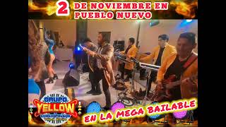 GRUPO YELLOW  DE CHACHO RUEDA EN VIVO.