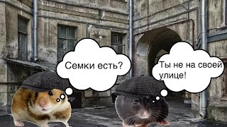 Слово хомяка: корм на асфальте 4 серия.