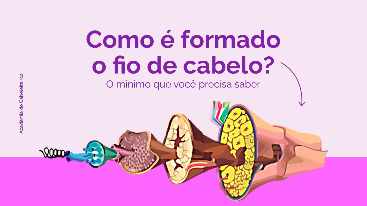 COMO É FORMADO O FIO DE CABELO | By Paula Roveroni - Academia de ...