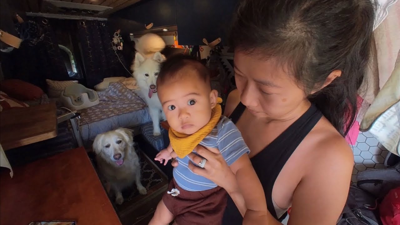 A Day in Van Life with a 7-Month-Old Baby (and 2 Dogs!) | Van Life ...