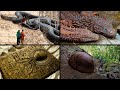 Most Awesome and Strange Discoveries | ORIGINS EXPLAINED COMPILATION 4