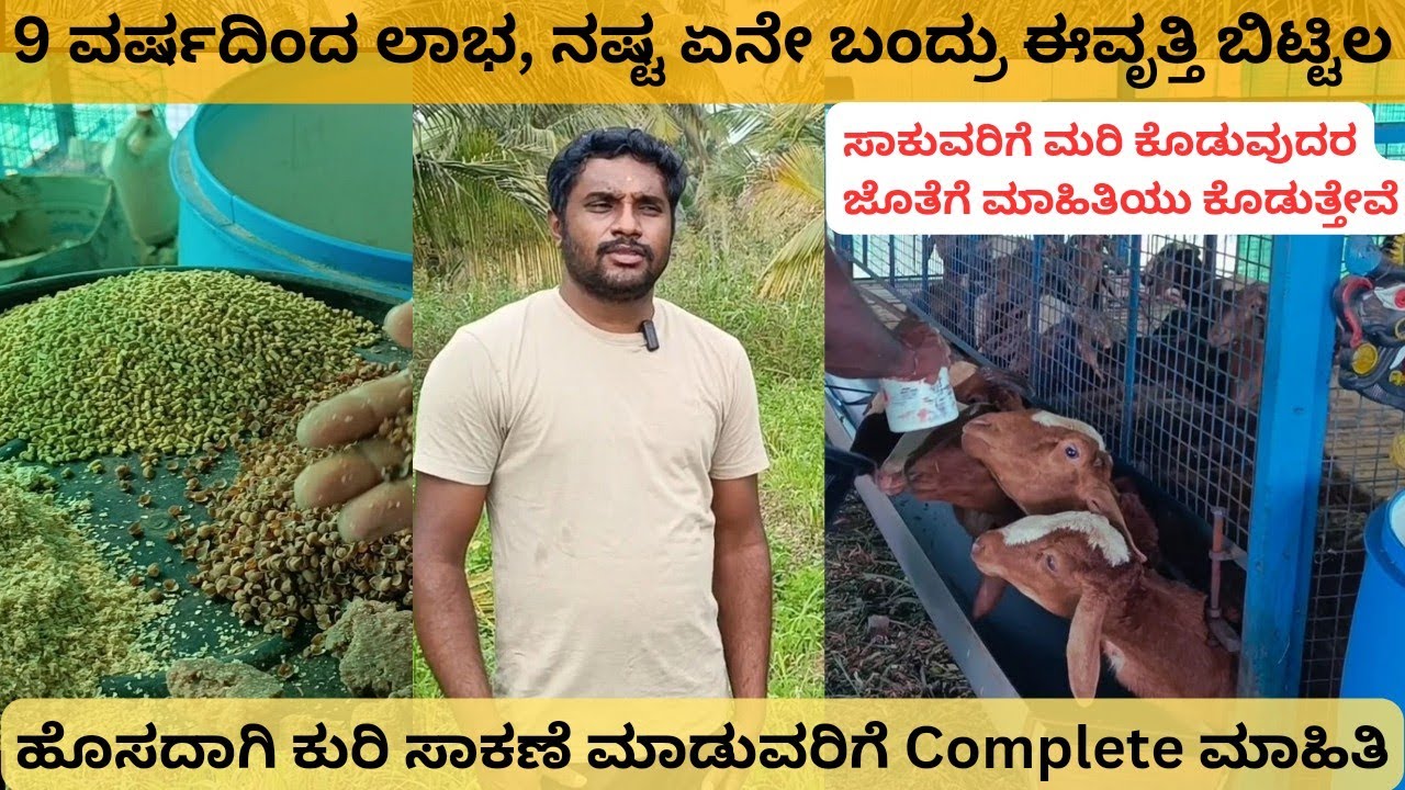 ಕುರಿ ಸಾಕಾಣಿಕೆಯ A to Z ಮಾಹಿತಿ, 9 ವರ್ಷಗಳ ಅನುಭವಿ ಚೇತನ್ ಅವರಿಂದ|| Sheep farming in Kannada 