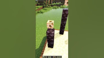 Mini End Biome in Minecraft! #shorts #minecraft