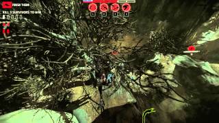 Evolve Dominate as the Wraith