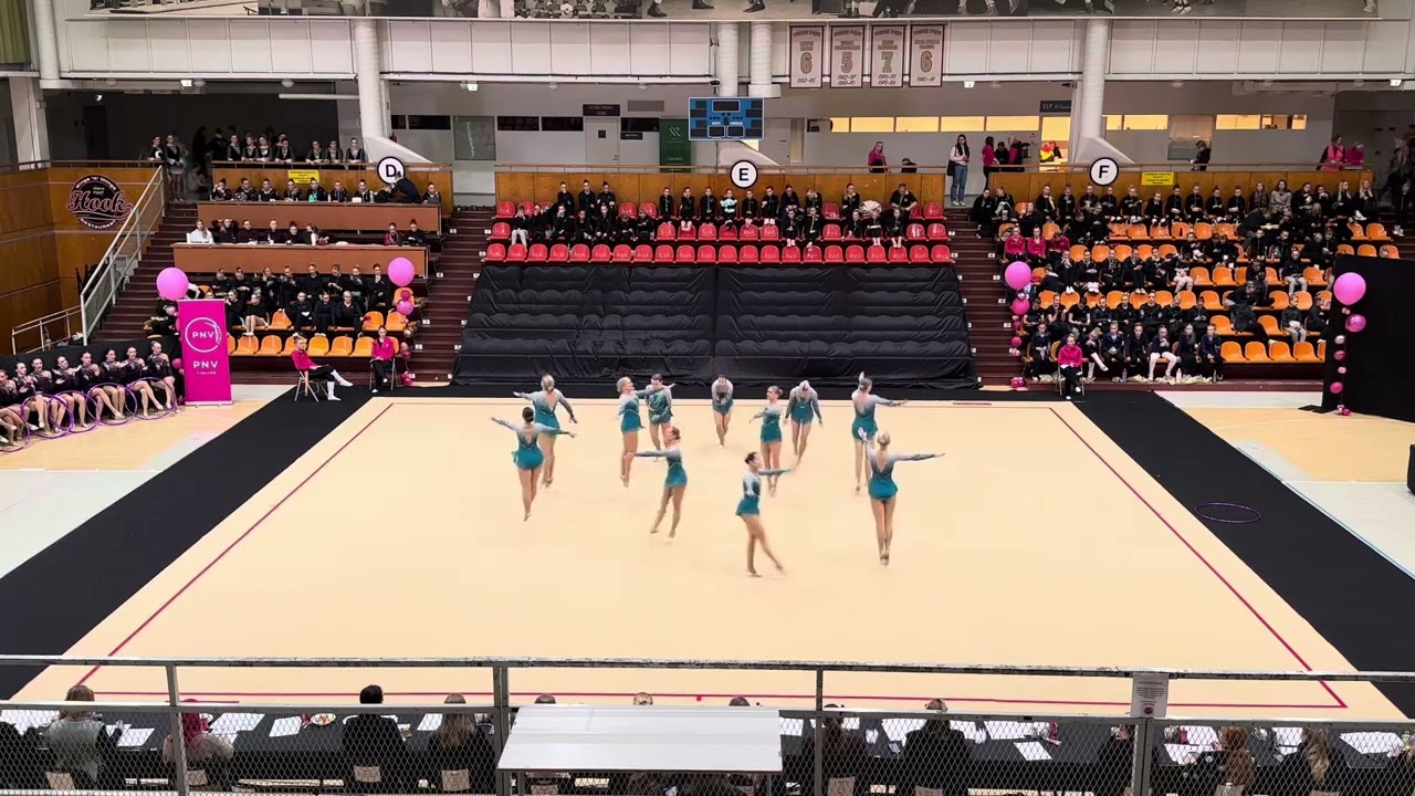 Erin - Tapanilan Erä, PNV Cup 16.11.25, yli 35v Harraste 