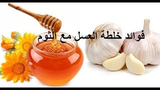 فوائد العسل والثوم على الريق ** فوائد العسل والثوم للجنس وللحامل وللرجيم