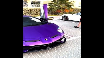 Song name: TACO BELL