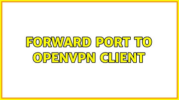 Forward port to OpenVPN Client