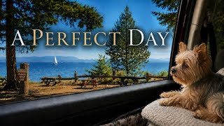 A Perfect Day Living in My Minivan With My Dog