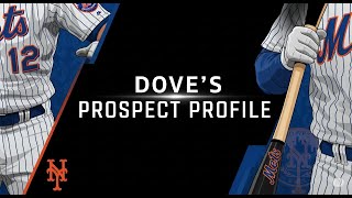 Interview With New York Mets Prospect Jacob Reimer 