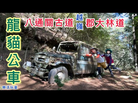 龍貓公車｜八通關古道｜雲龍瀑布｜郡大林道｜東埔［樂活玩童NO.77]20221114~15