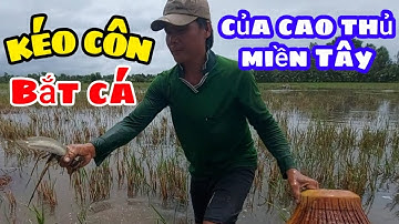 Nguyễn Văn Nhựt || Kéo Côn Bằng Tay Bắt Cá Mõi Tay Ở Miền Tây