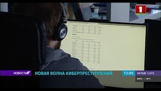 Киберпреступность: в Беларуси растёт количество IT-преступлений