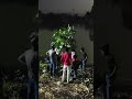 आज होली का कार्यक्रम शुरू कर दिया गया