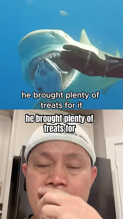 WOW amazing 💯😱 #ocean #shark #animals #fish #shorts