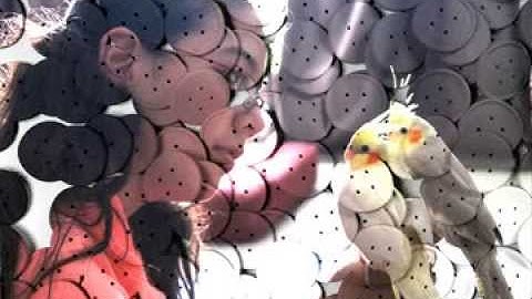 Picture in buttons using Blender