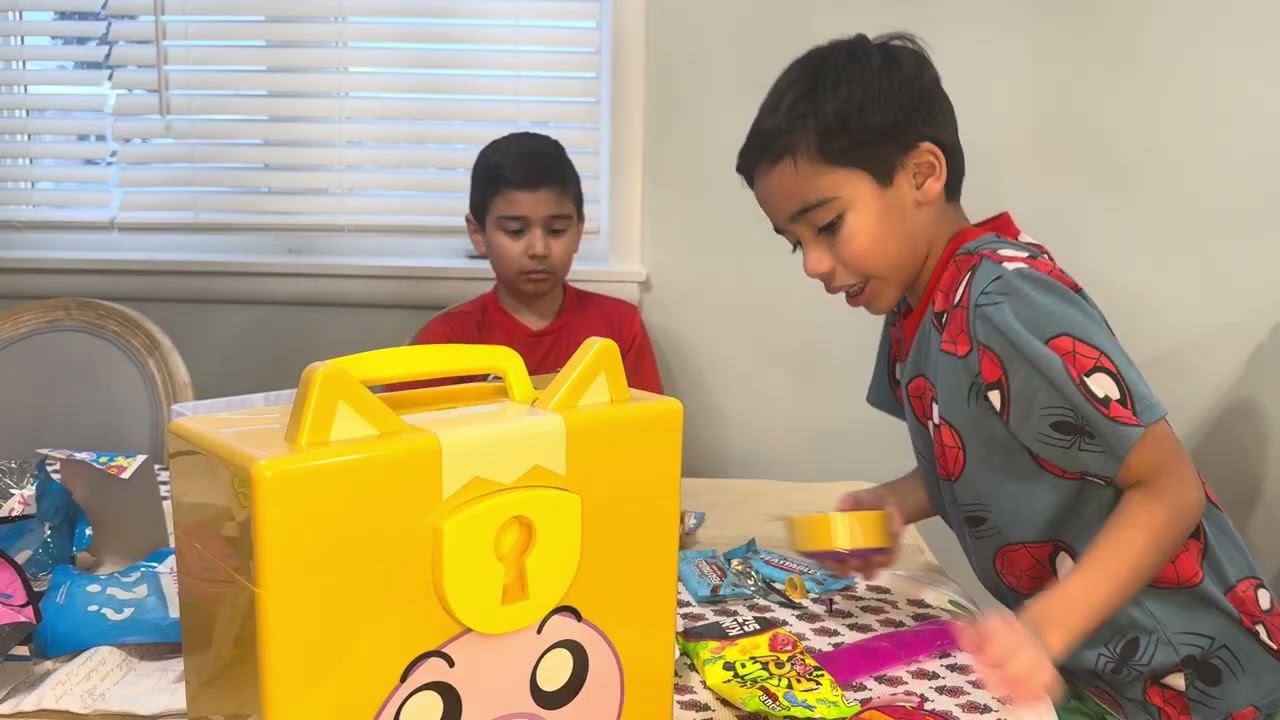 Unboxing Lanky Box Mystery Lock Box and Super Mario 3D World